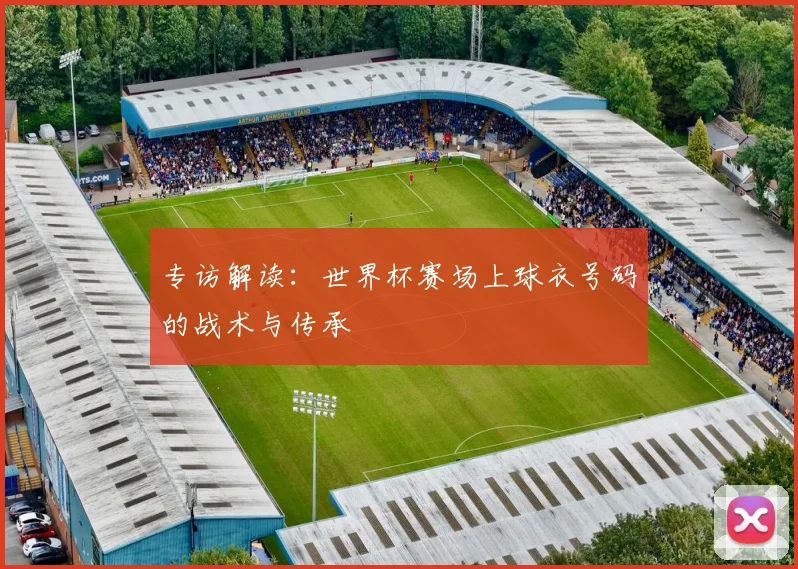 专访解读:世界杯赛场上球衣号码的战术与传承