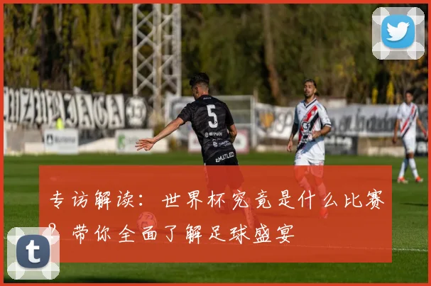 专访解读:世界杯究竟是什么比赛?带你全面了解足球盛宴
