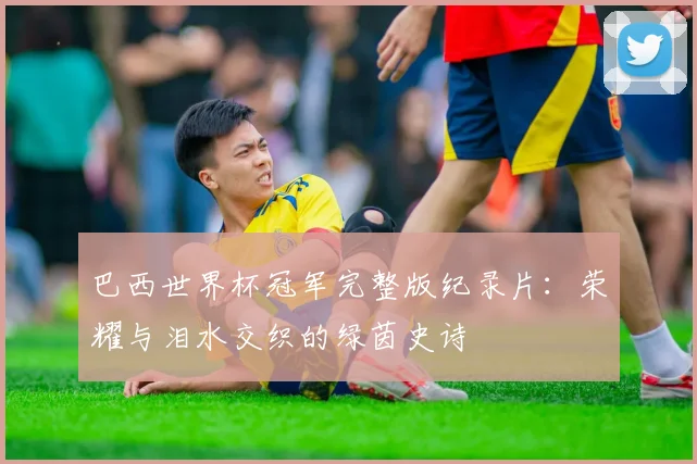 巴西世界杯冠军完整版纪录片：荣耀与泪水交织的绿茵史诗